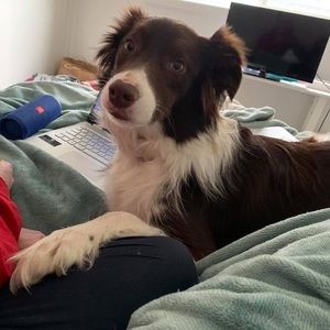 Meet your Posher, Chantelle